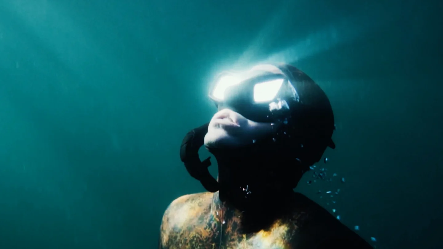 Home Ocean still image of diver